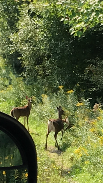 "There is beauty in the world
So much beauty in the world
Always beauty in the world." 
                               Macy Gray