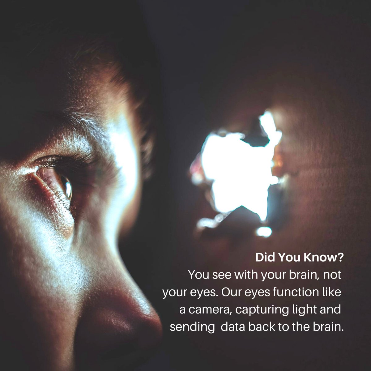 Eyes, and how they work, are one of the most fascinating part of our bodies  and they certainly need our care and protection! Should you have any concerns, or simply need to come for a check-up, our team of professionals are ready to help. Conta bit.ly/3bzDOHv