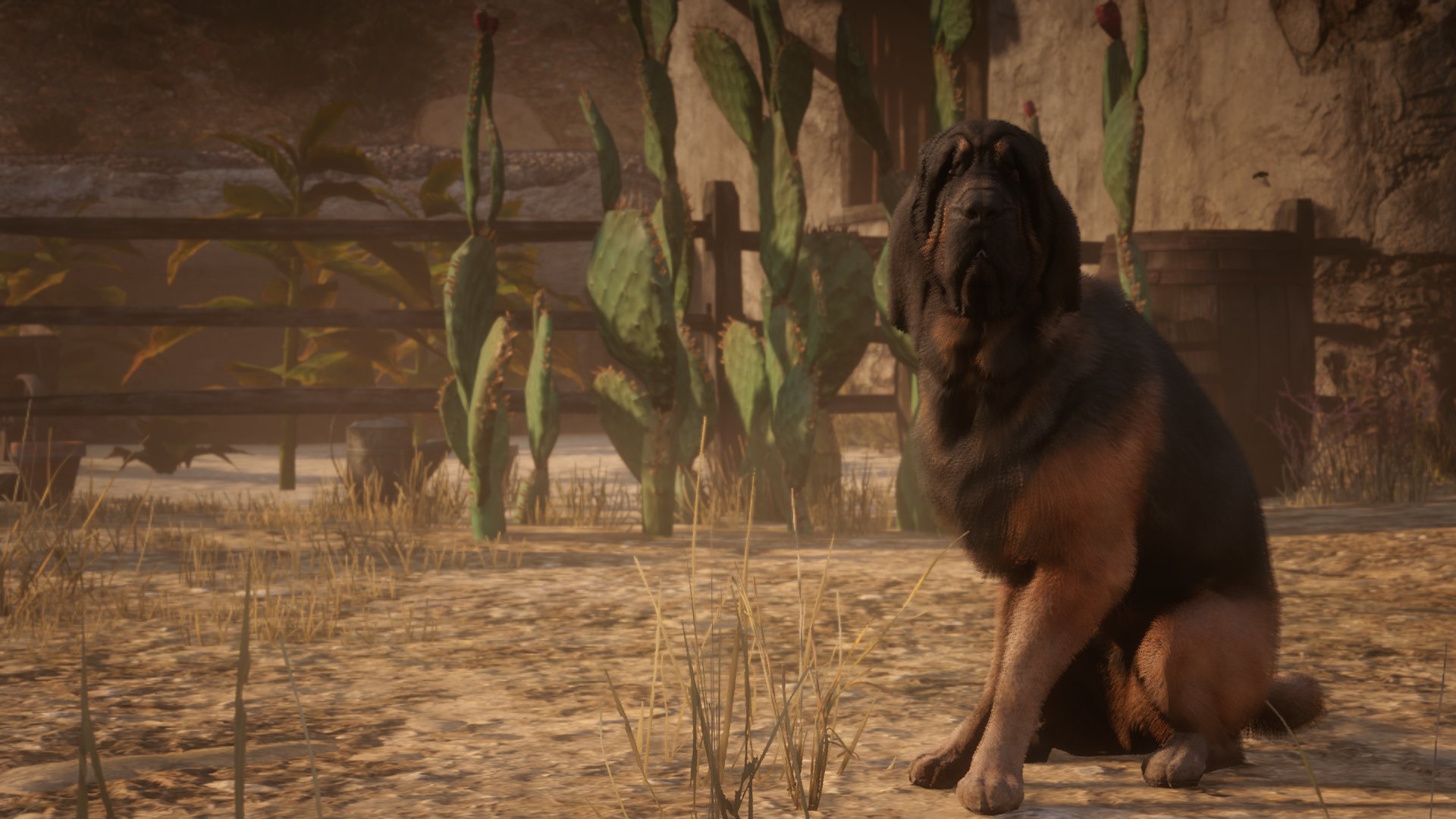 Twitter 上的slatz 7 Bloodhound Rdr2 Rockstargames T Co Tmglsgqqju Twitter