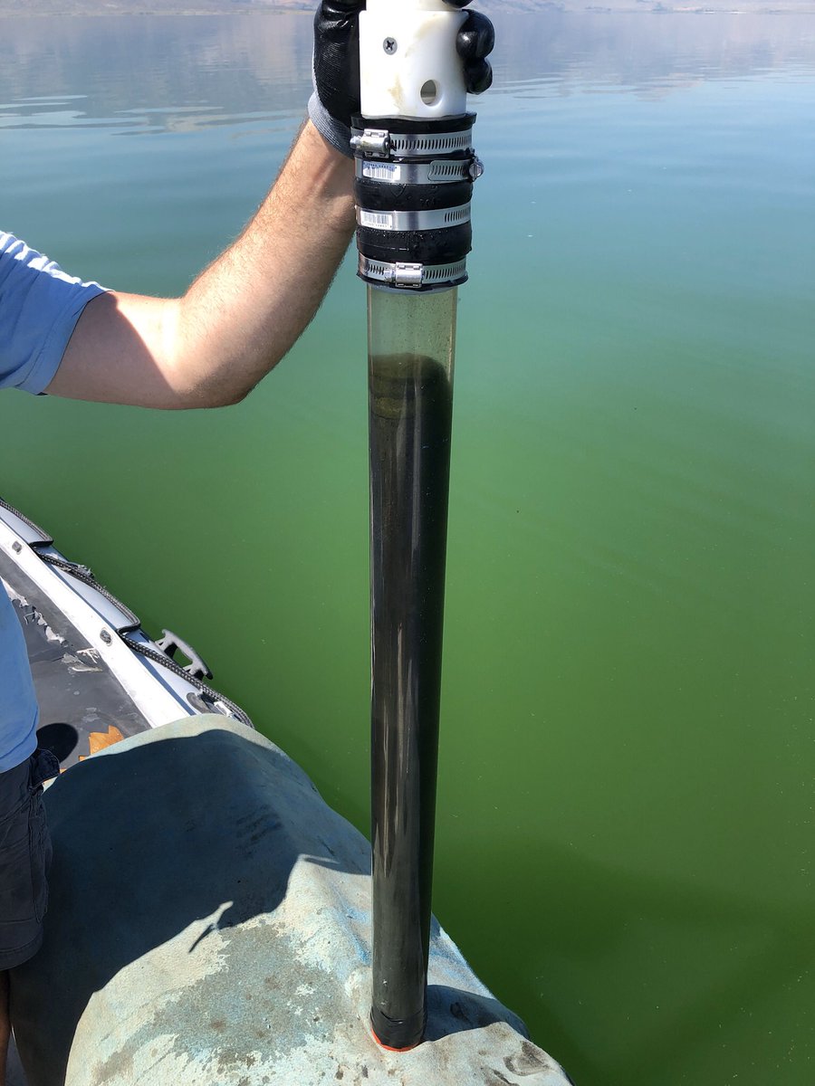 Aqueous_Eryn's tweet photo. Can you smell the sulfide from these pictures?? Last week @daanspeth, @microtomakro, and I successfully collected sediment cores and water column samples from Mono Lake. The fine layering in the sediment is truely beautiful (but not sharing pictures of split cores YET!) https://t.co/BJXbhcEbGc