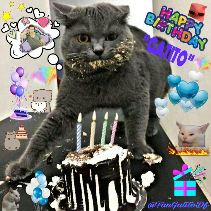 FanGatitoDf's tweet photo. #Gatito 😼🎂 #juanbaptistad 😘 Siguetela💖 Pasando🐾 De🎉 Poca🤗 https://t.co/unzMr6LbRT