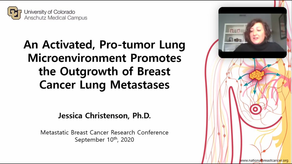 Martha__Carlson's tweet photo. What tremendous learning in the #MBCRC20 Poster Lightening Talks. Research to affect lung metastases, dormancy in ER+, and more inspiring work by the best scientists woking to solve the questions of metastatic breast cancer. #metastatic #cancer https://t.co/cBM7xpDrjB