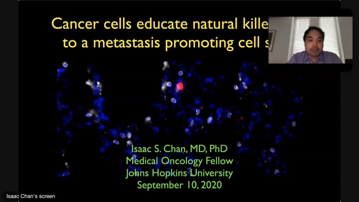 Martha__Carlson's tweet photo. What tremendous learning in the #MBCRC20 Poster Lightening Talks. Research to affect lung metastases, dormancy in ER+, and more inspiring work by the best scientists woking to solve the questions of metastatic breast cancer. #metastatic #cancer https://t.co/cBM7xpDrjB