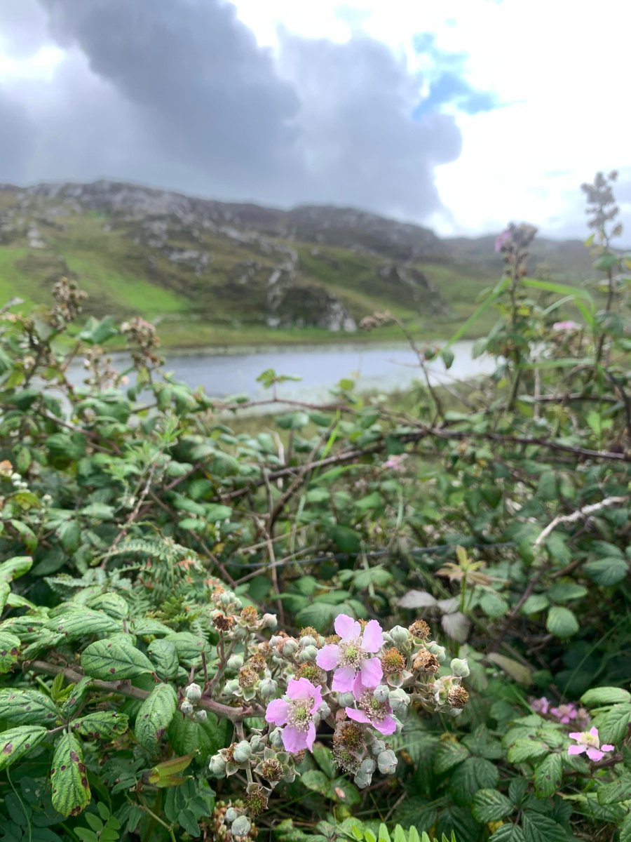 BANG restaurant & wine bar tweet media