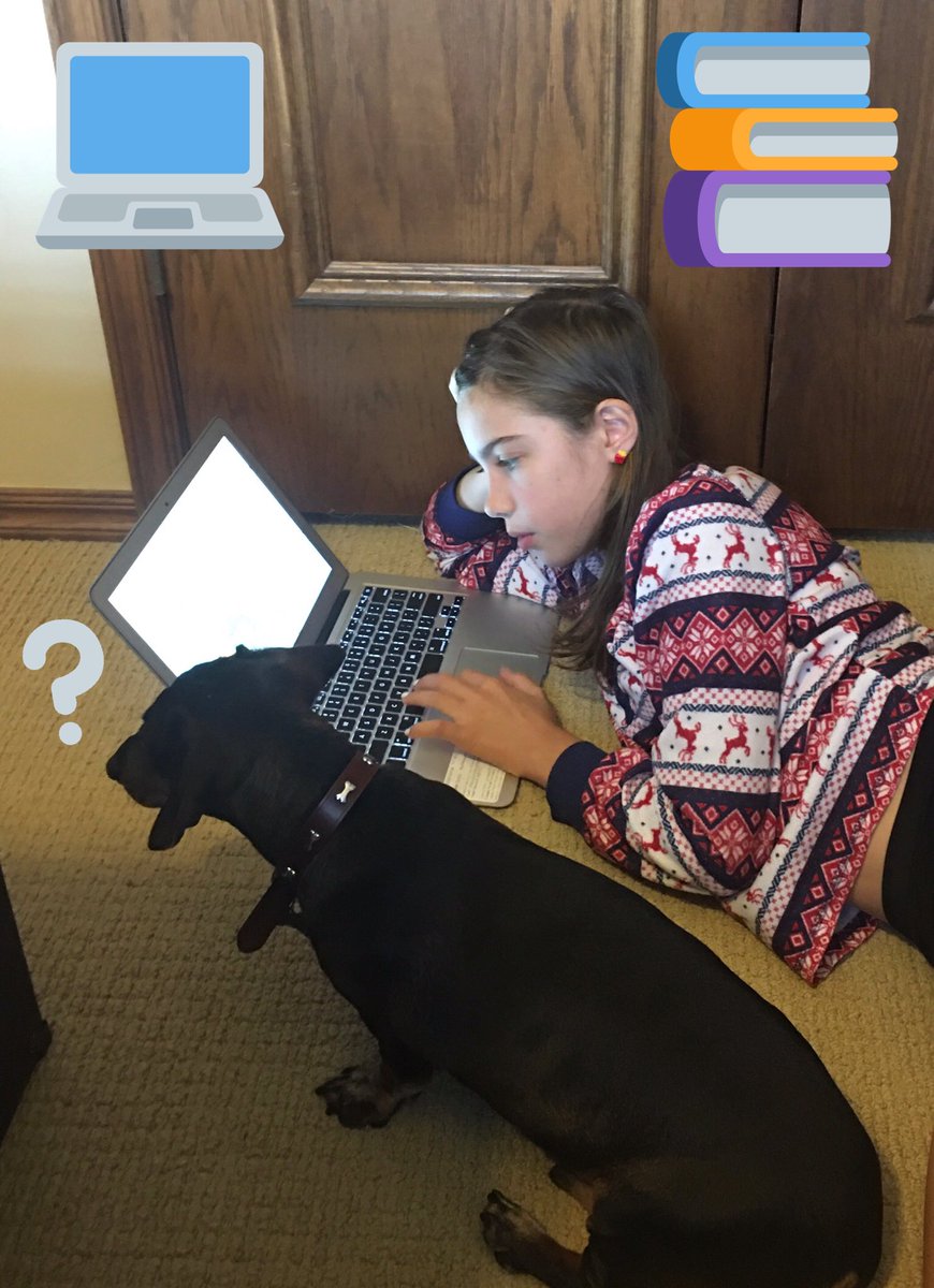 LilOkie76's tweet photo. #BaxterBoo is contemplating how he’ll manage to eat #HaleighBear’s homework if it’s all inside of a computer. 🤔🐶🤷♀️ #virtuallearning #dogsoftwitter https://t.co/xyddTBtRCk