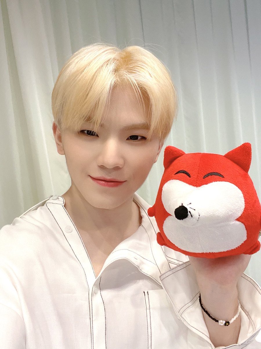 poutjigyu's tweet photo. hes about as cute as the fox plushie https://t.co/J2x9LwI5lo
