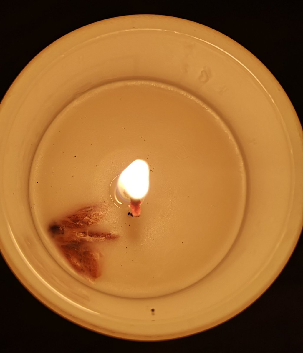 HappyThings2020's tweet photo. Ummmm.. Did I make an art?
#extinguishedmoth #waxygrave #suspendedintime https://t.co/UayqALYNoZ