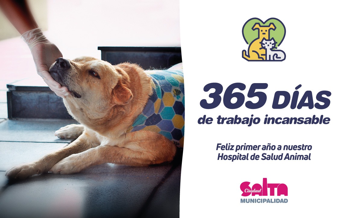 MuniSaltaok's tweet photo. FELIZ CUMPLEAÑOS 🐶🐱
Hoy es el 1° aniversario del Hospital Municipal de Salud Animal.
Trabajamos para salvar sus vidas, atenderlos y dignificarlos, brindando atención a aquellos vecinos que no tienen recursos.
❤️Respetemos y cuidemos a los animales entre todos. 
#SaludAnimal https://t.co/qGaUmD5QeH