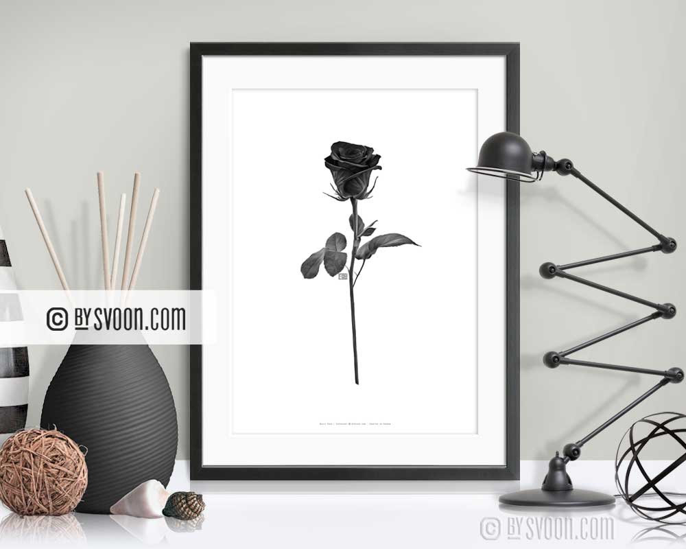 BySvoon's tweet image. From our Set of 3 #Trend #Prints Black Rose #DesignPrint #Fashion #Illustration #Design #Trend #GiftSet etsy.me/3k6H404 #minimalist #setof3prints #3piecewallart #BlackRose #Rose #Flower #DigitalPainting #bySvoon #FinePrints #simpledoesit #NordicDesign