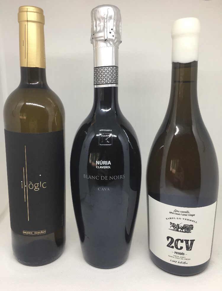 CONOCE LA BODEGA <a href="/BSumarroca/">Bodegues Sumarroca</a>  
No dejes pasar la oportunidad !!! 

Habemusvino.com 😉💻📲

Non stop!!!! 🍷🚀🍇
#nosgustavino 😉