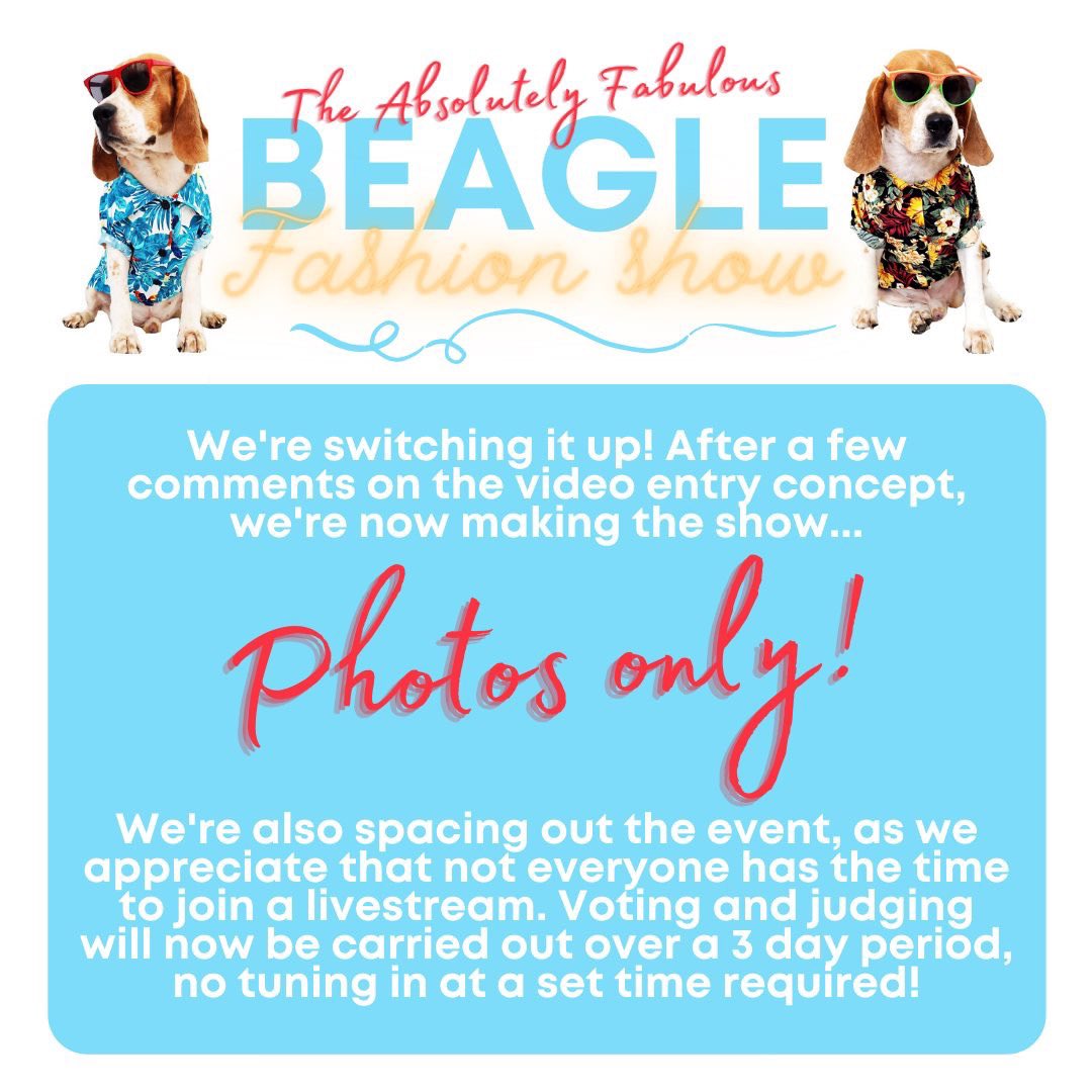 UPDATE / This fundraising event has been changed to photos only, it seems you beagle folks are a bit video shy🤔.  However we know you all have 1000’s of photos of your beagles so please get involved. Good Luck everyone🐾
