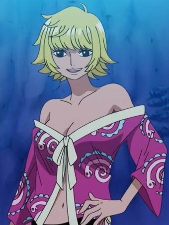 While I'm not saying she WILL join, I'm merely arguing that the reasons for her NOT joining before, may no longer be valid. The final evidence for this is the unusual focus oda had on Marguerite.