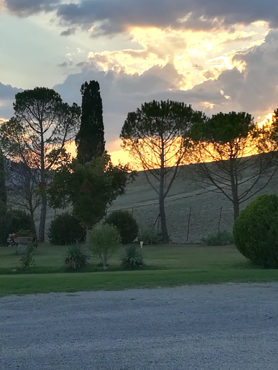 Daniela11235883's tweet photo. Buona serata https://t.co/Rtjz1HDyfb