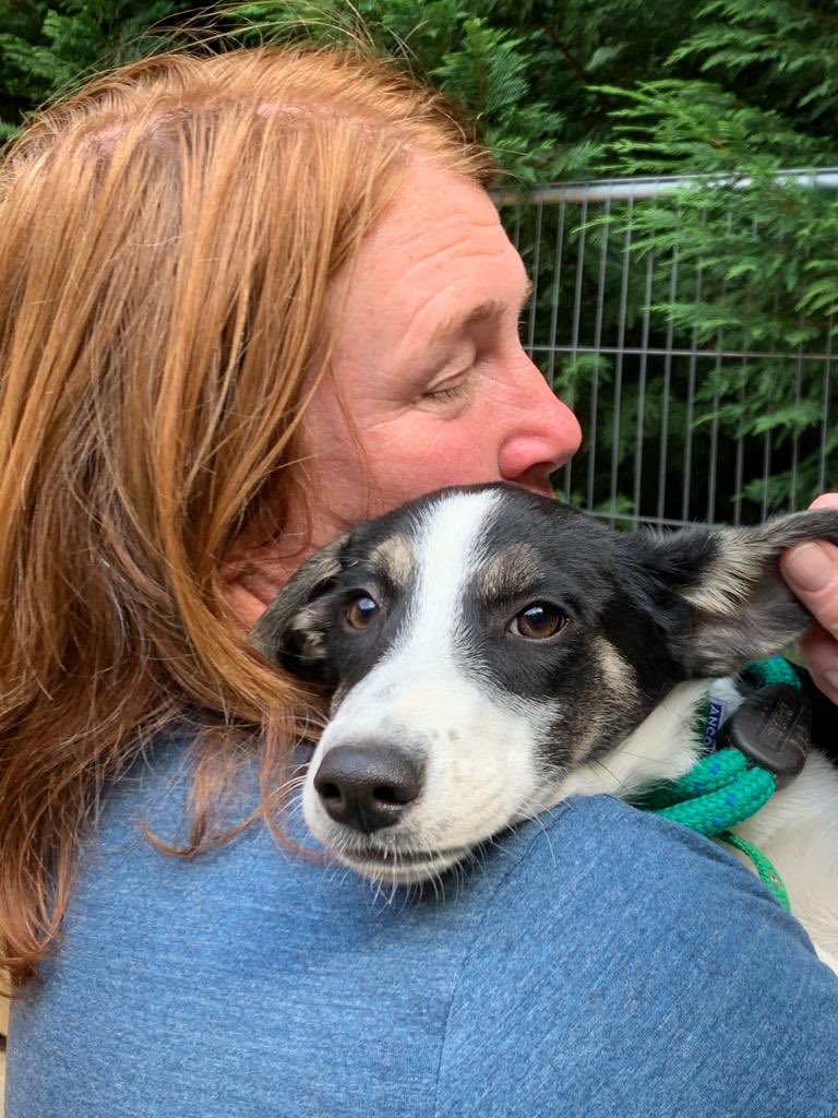 Gorgeous new arrivals, Maya, Daisy, Dobby and Vicky are all settling in ready for their meet and greets over the next few days