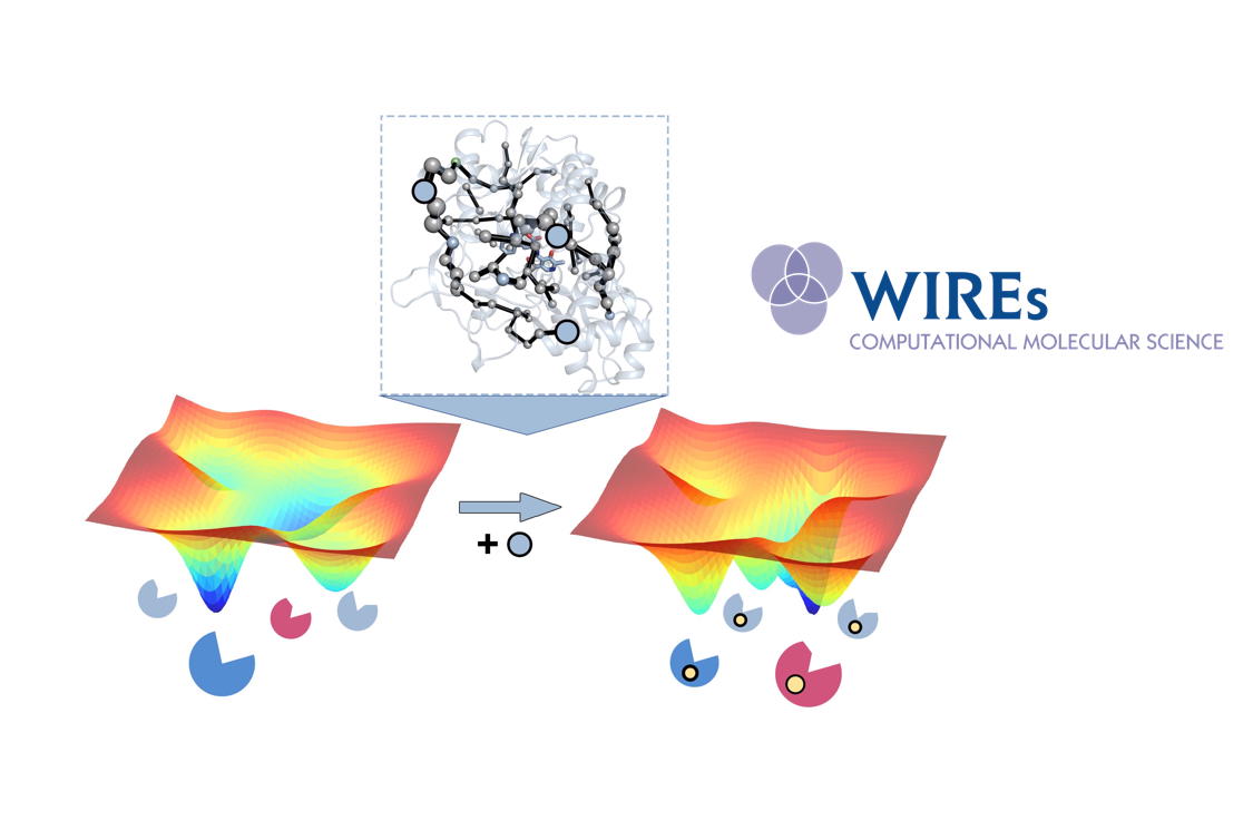 The challenge of predicting distal active site mutations in computational enzyme design, by @silviaosu in Wiley Interdisciplinary Reviews (WIREs) in Computational Molecular Science iqcc.udg.edu/wordpress/2020…