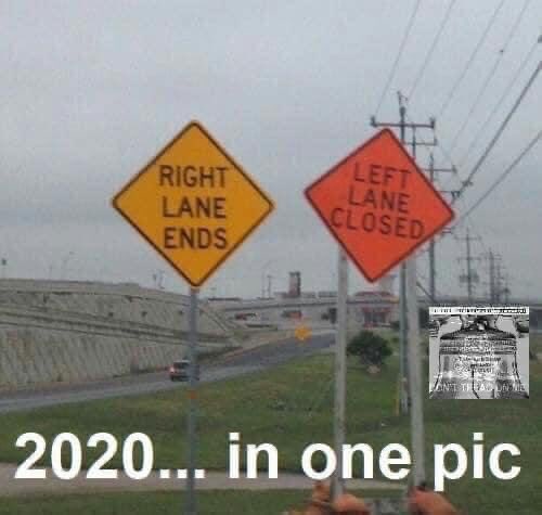 Bone Safety Signs tweet media
