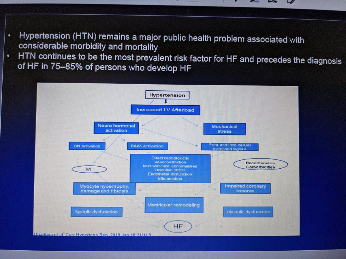 Results from the  #SPRINT sub-studies: potential of BP lowering in heart failure #Hypertension20  @AHAMeetings  @AHA_Research  @AHAScience @ISHBP  @HyperAHA @AnastasiaSMihai  @DrAnikaLHines  @mmamas1973  @iamritu  @hvanspall  @noora_alhajriMD @HanCardiomd  @ShelleyZieroth  @rachkataria