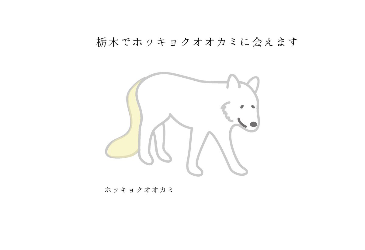 Imomoo 動物園応援企画サポートズー 国内唯一 白いオオカミ公開 那須どうぶつ王国 雄と雌１頭ずつ T Co Zylkanr0du 担当者のコメントが粋です かつて日本にオオカミがいたことに思いをはせてほしい 動物イラスト ゆるいイラスト 動物園