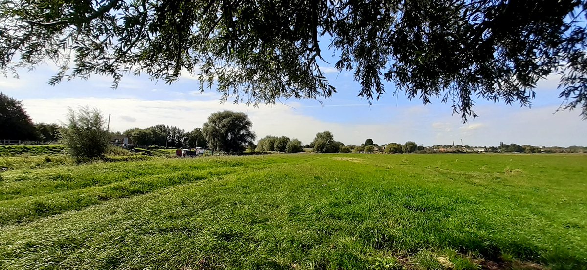ArtofTonyNero's tweet photo. Super location for filming #walkwithtony today...one of my regular walks, along the Stanground Backwater #rivernene #peterborough https://t.co/N8e8xbceZR
