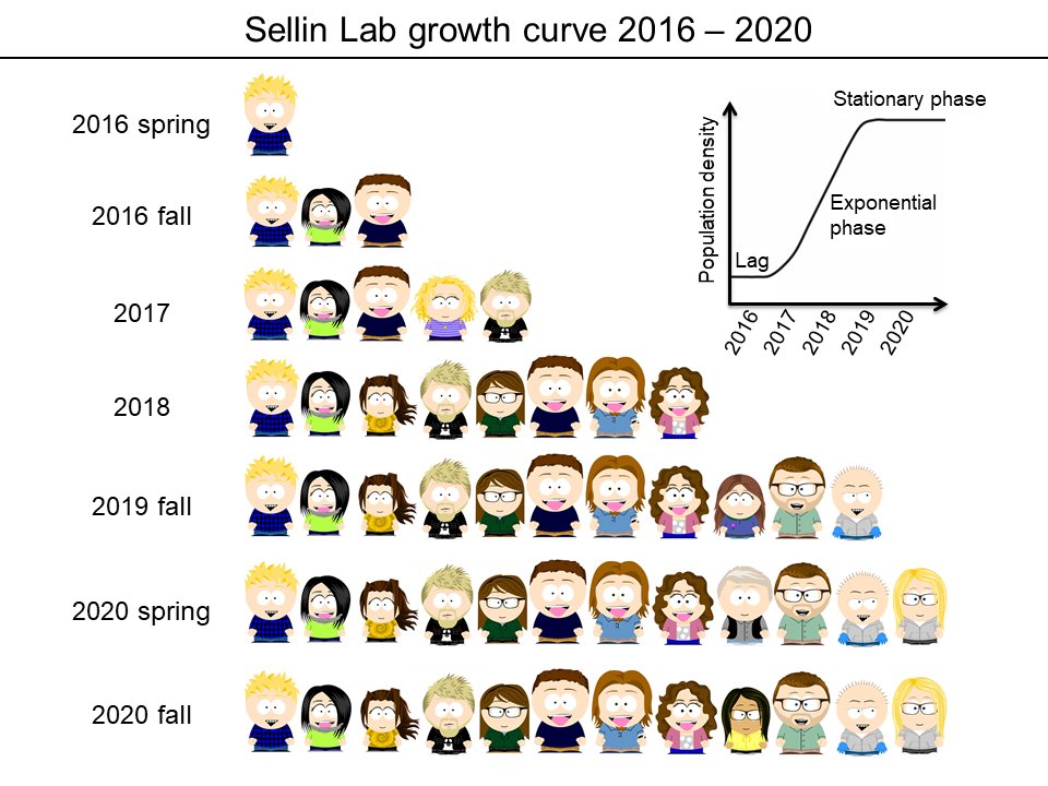 SellinLab's tweet photo. It's official. Our lab has entered stationary phase. This is our population cycle so far, told through @dimartino_ml's cartoons using https://t.co/nkrBgDEHVk. Thanks for the ride so far, guys! 

#nolongerstartup https://t.co/CJSDP8QfbH