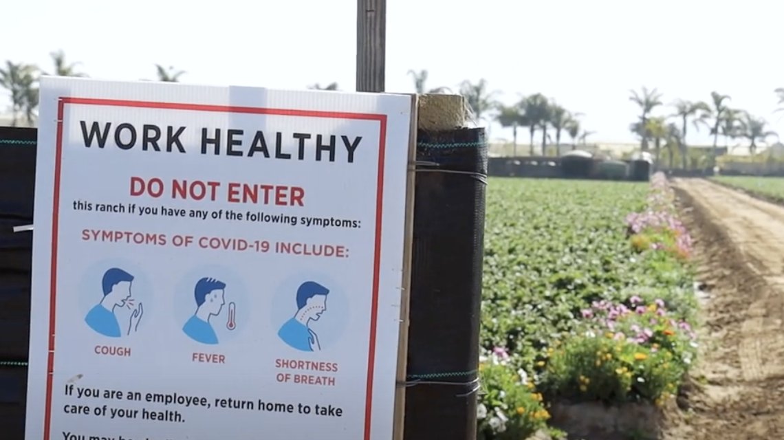 The undocumented farmworkers are ineligible for health insurance programs like Medicaid, which would cover the costs of treatments if they were to contract COVID-19.
