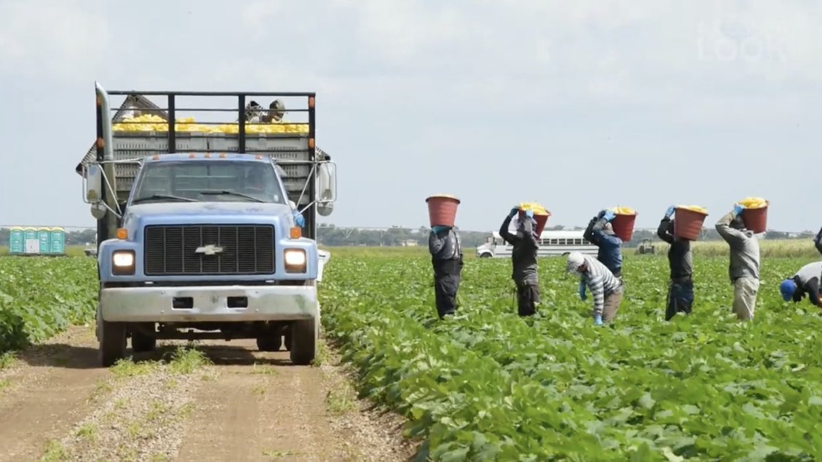 Farmworkers are being honored at this year's Hispanic Heritage Awards as the pandemic continues to draw attention to the nation's food sources.