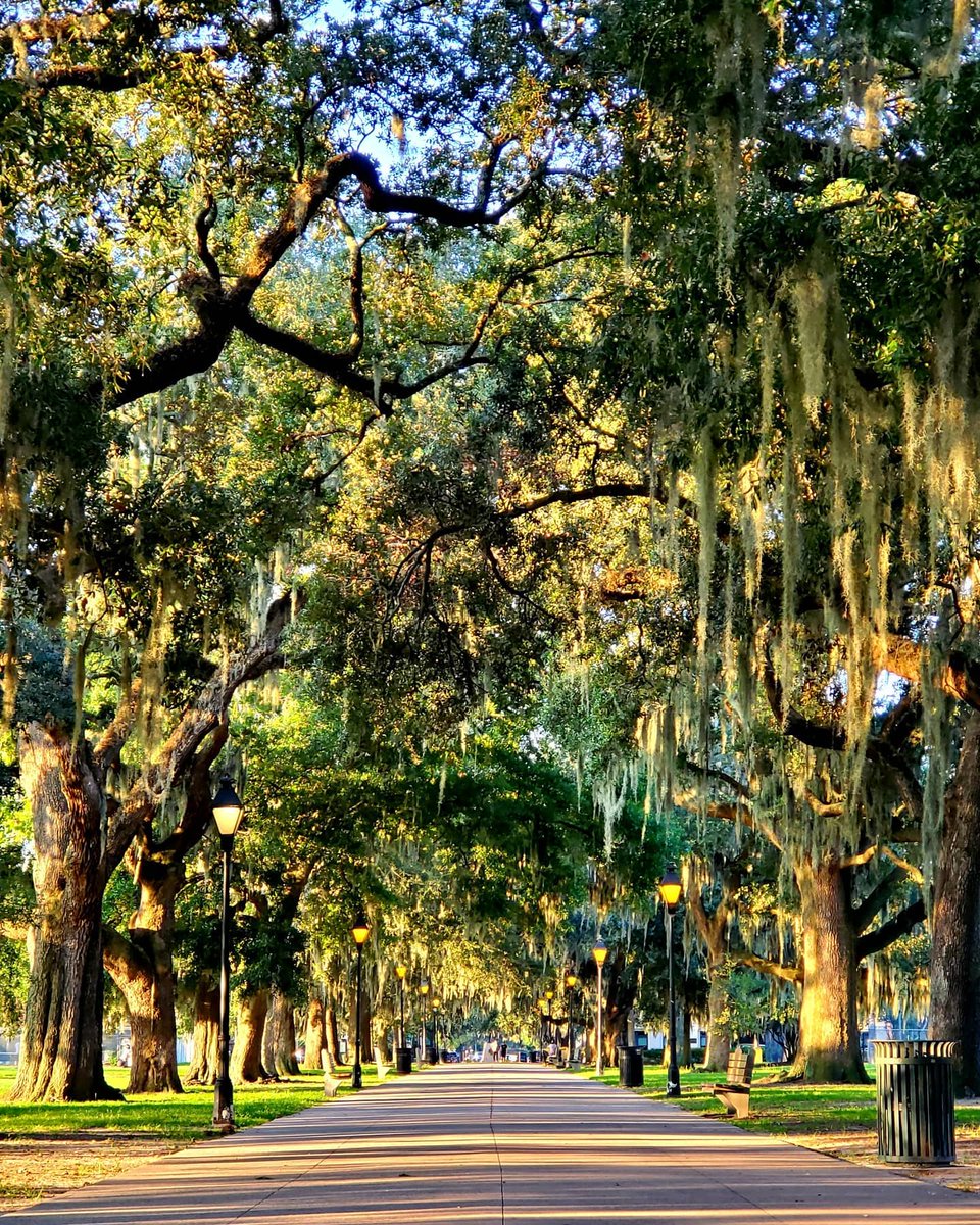 VisitSavannah's tweet photo. Follow us on Instagram &amp; use #VisitSavannah for the chance to have your photos &amp; videos featured on our pages! [📸: @girlsguide_01 via Instagram] https://t.co/dLdNp4HqqC