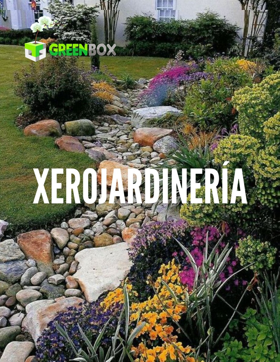 GreenBox_mx's tweet photo. Xerojardineria https://t.co/IHaxSWvNVP
