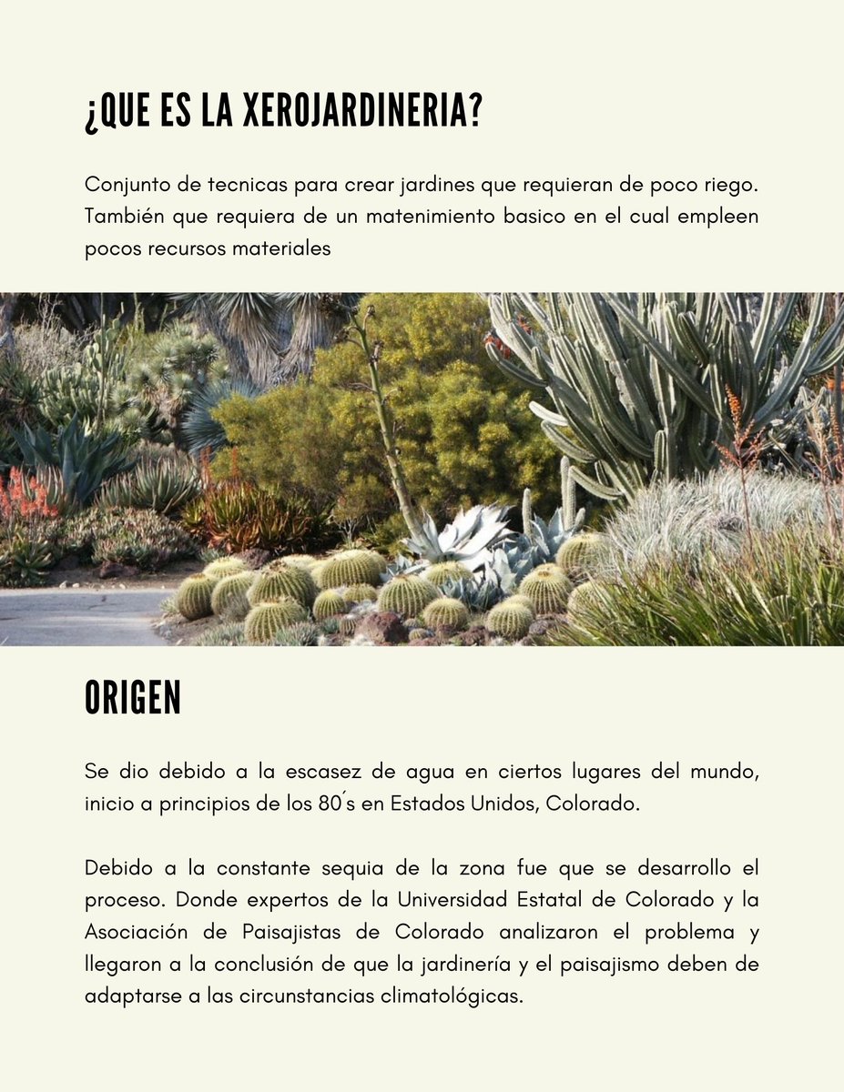 GreenBox_mx's tweet photo. Xerojardineria https://t.co/IHaxSWvNVP