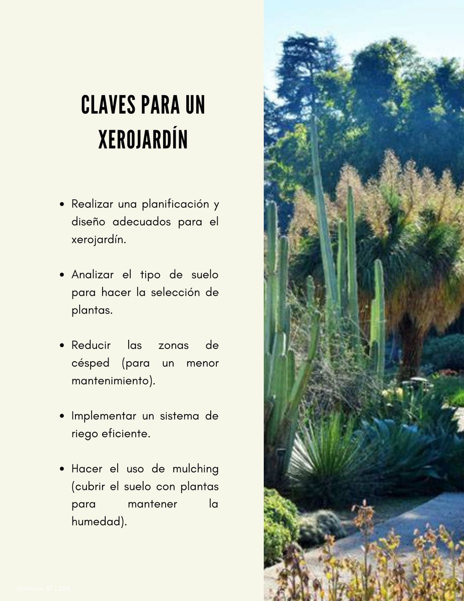 GreenBox_mx's tweet photo. Xerojardineria https://t.co/IHaxSWvNVP