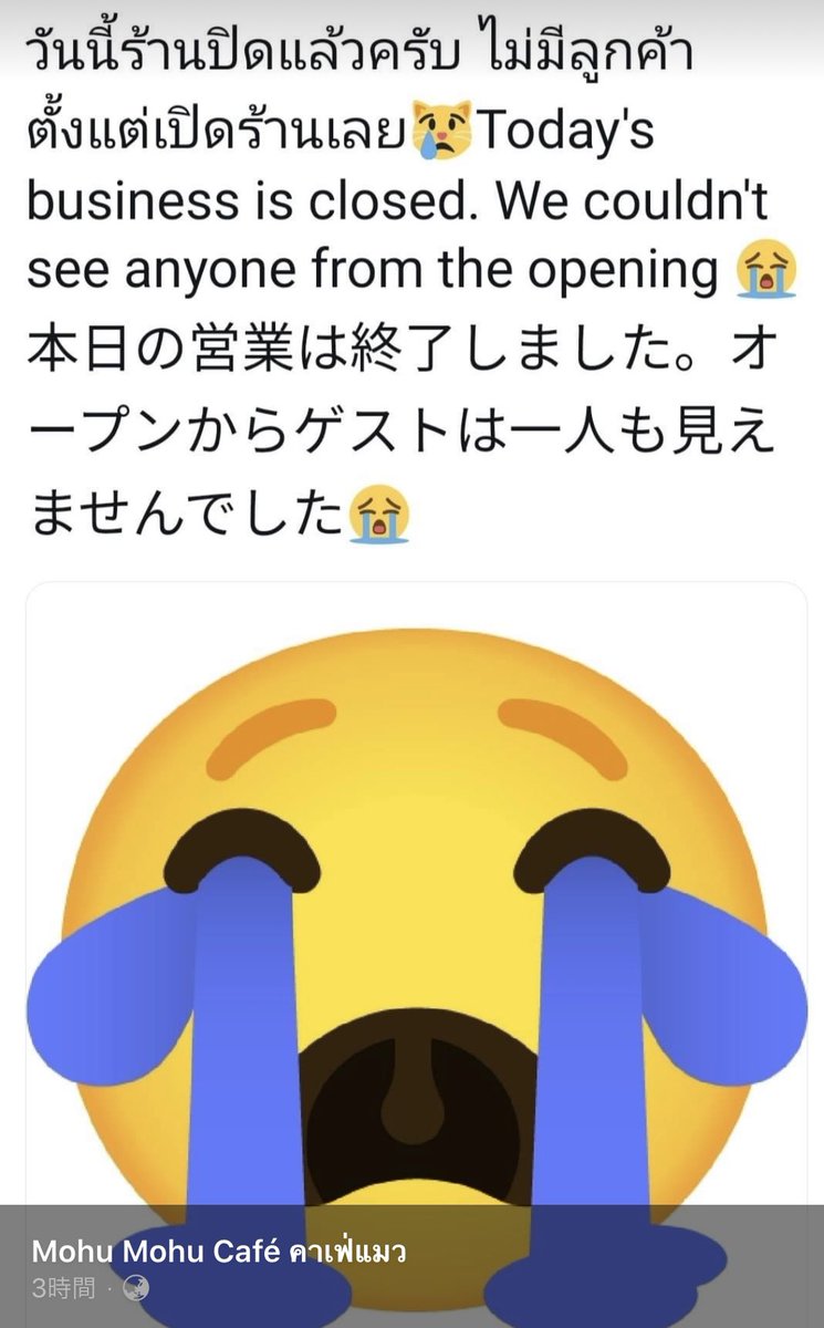 เห็นแบบนี้แล้วอยากพุ่งตัวไปที่ร้านวันพรุ่งนี้เลย 🥺
ร้าน Mohu Mohu เป็นคาเฟ่แมวที่มีเจ้าของเป็นคนญี่ปุ่น แมวในคาเฟ่ก็เป็นแมวจรที่เค้าเกบมาเลี้ยงจนอ้วนตุ๊บสุขภาพดีทุกตัวเลย ร้านสะอาดมาก ไม่มีกลิ่นเลย อยากให้ทุกคนไปอุดหนุนเค้ากันเยอะๆนะ ร้านย้ายไปอยู่แถวๆ BTS ช่องนนทรีแล้วนะคั้บ