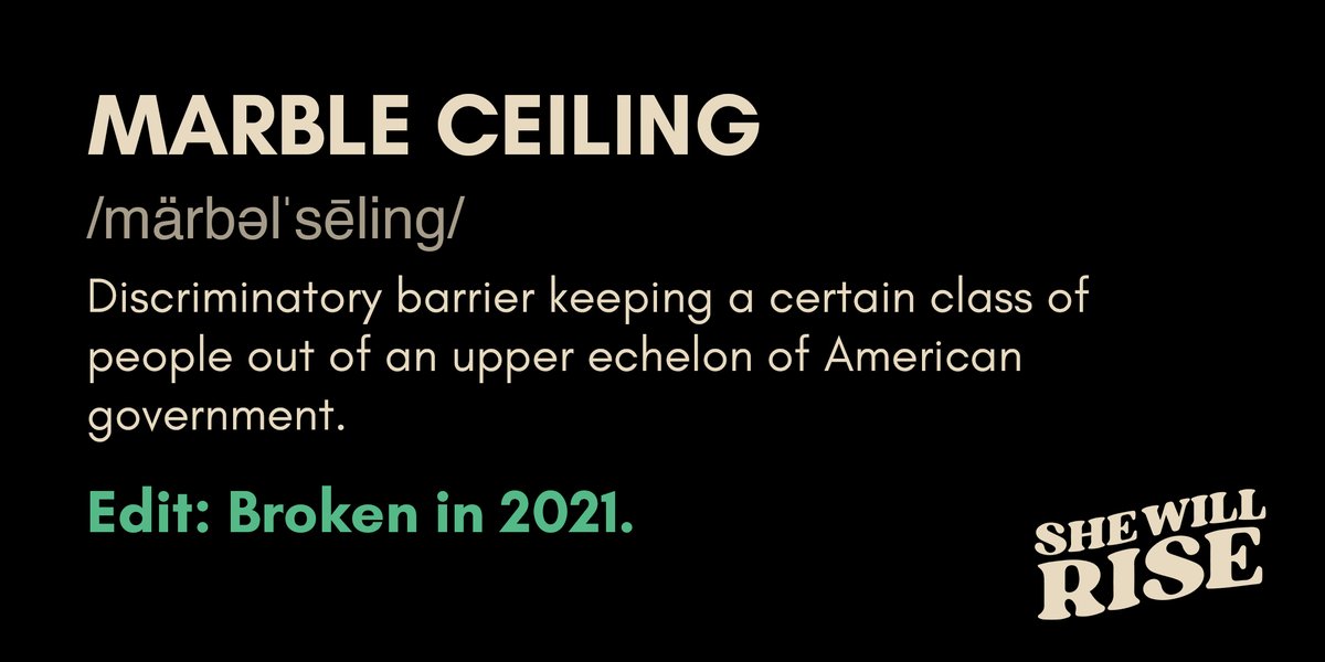 Black women lawyers are breaking down barriers & climbing the career ladder, but none have been able to break the marble ceiling & ascend to the highest court in the land.That should end in 2021.Sign the  #SheWillRise petition & follow  @SistaSCOTUS:  http://www.sistaSCOTUS.org 