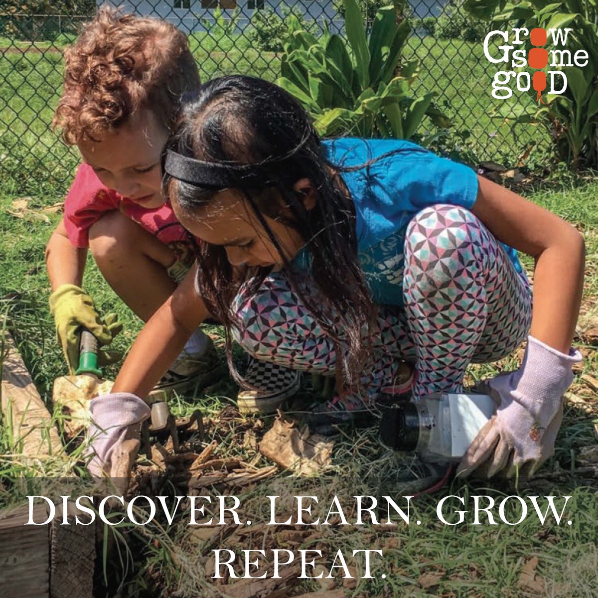 GSGMaui's tweet photo. If you would like to support our students’ education, click on this link https://t.co/B7Q3XaHgaL

Send check or cash to:
Grow Some Good
1215 S. Kihei Rd. Suite O, #1047
Kihei HI 96753

Goal: Raise 🌱$15,000🌱 to support programs.
Learn more here: https://t.co/1gKuhv5z9f 💚 https://t.co/iVbpkZzfGH