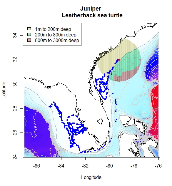 While #leatherback sea turtles are typically associated with deep water, Juniper the turtle tagged at #SanibelIsland has only spent 4 of the past 114 days in water deeper that 200 meters. She is currently just on the edge of the deeper waters near the Gulf Stream. #FtMyersSanibel
