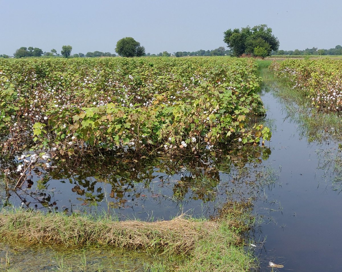 DevenderKundu3's tweet image. कोरोना मे जब सब लोग छुपे बैठे थे तब ये किसान ही था जो सबके भरण पोषण के लिए खेतों मे पड़ा था।।
और आज उस किसान की ऐसी दुर्दशा 😥😥
मानवता का नाश हो लीया ।।
#GDP जो कोरोना से मर चुकी है किसान ने अपनी मेहनत से जिंदा रखा है जिसका फल आज किसान को मिला है।।
हे #PoliceDepartment 😥😥