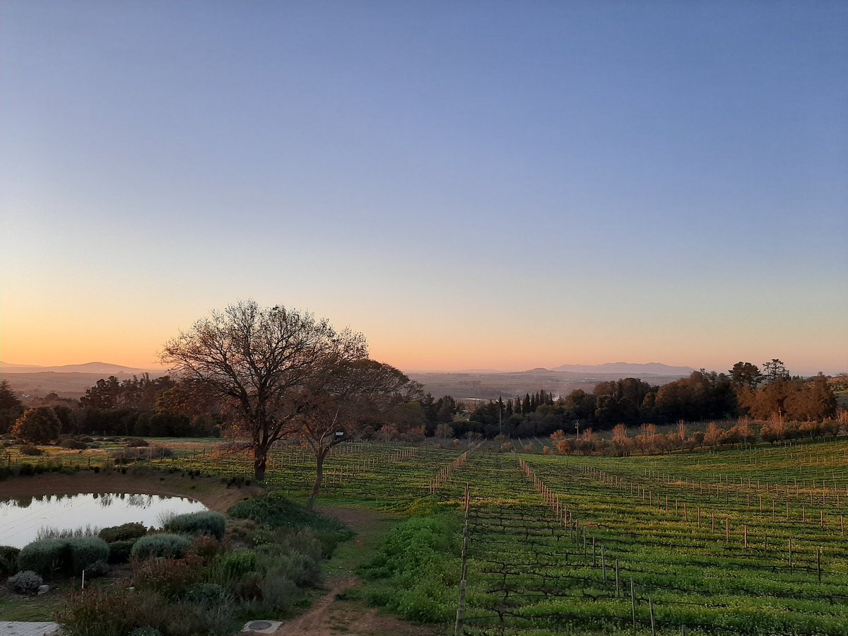 #TBT to my short but sweet stay at stunning <a href="/KunjaniWines/">Kunjani Wines</a> 🍷 Love this wine country gem ❤ #SayKunjani #drinksouthafrican #supportlocal #savesawines #TourismMonth2020 #discoverctwc #TravelChatSA #SupportStellenbosch