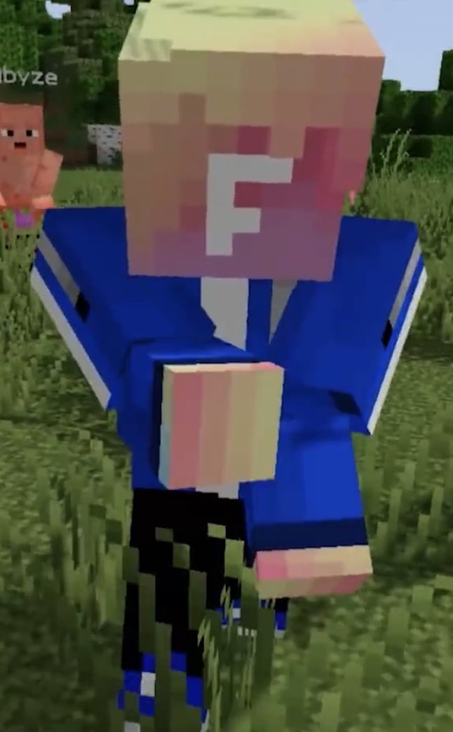 thread of minecraft fitz cause these have been sitting in my camera roll for too long