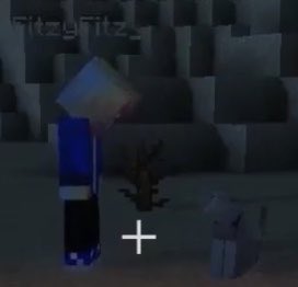 thread of minecraft fitz cause these have been sitting in my camera roll for too long