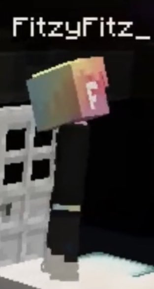thread of minecraft fitz cause these have been sitting in my camera roll for too long