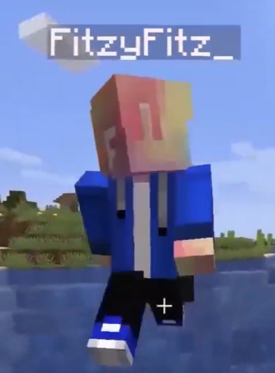thread of minecraft fitz cause these have been sitting in my camera roll for too long