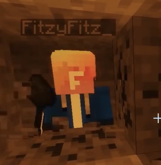 thread of minecraft fitz cause these have been sitting in my camera roll for too long