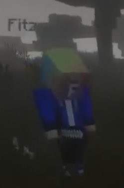 thread of minecraft fitz cause these have been sitting in my camera roll for too long