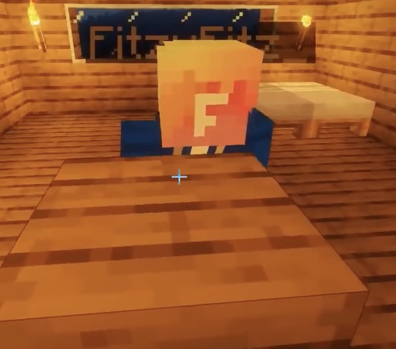 thread of minecraft fitz cause these have been sitting in my camera roll for too long