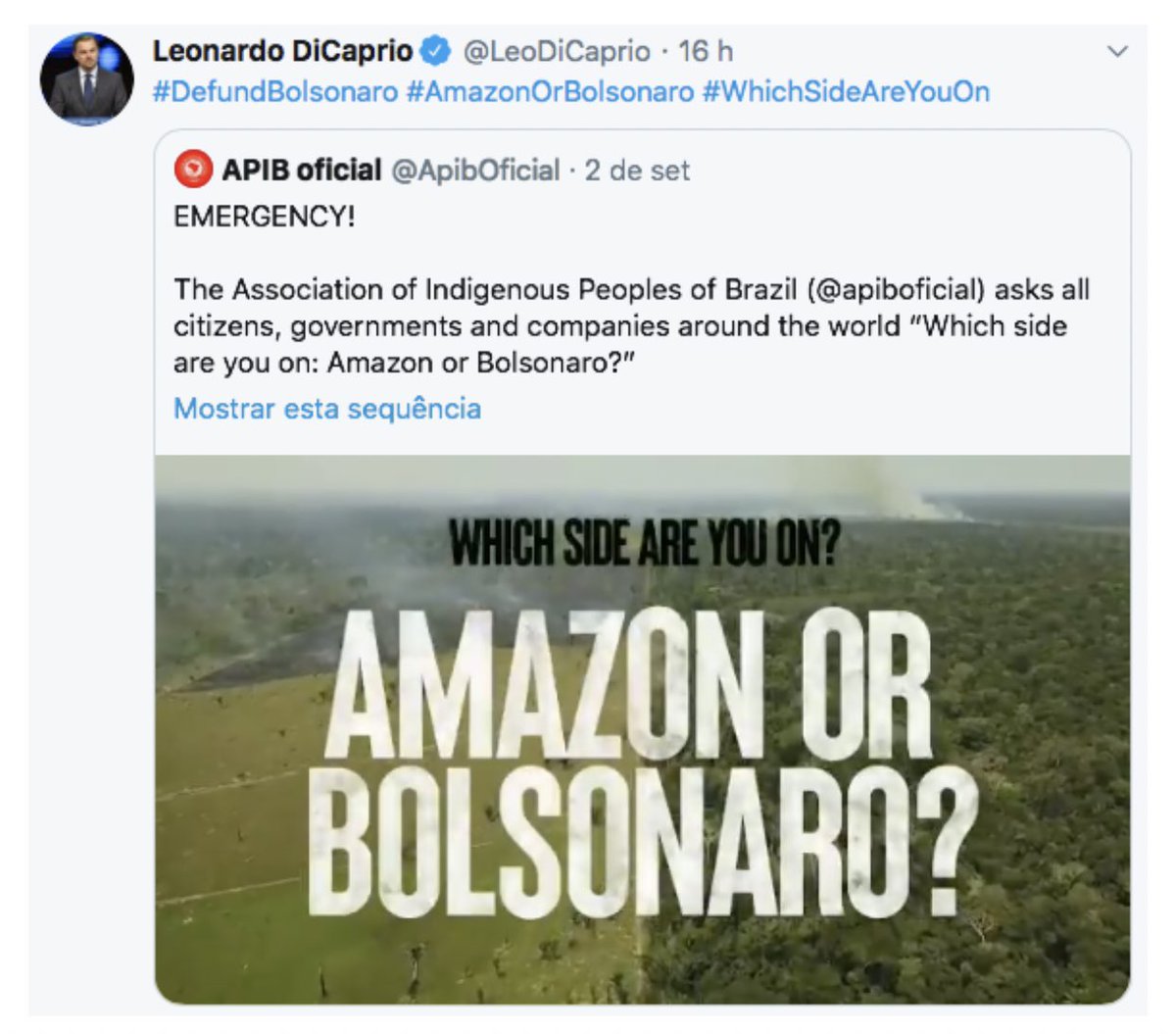 exactly @LeoDiCaprio thank you so much #DefundBolsonaro #AmazonOrBolsonaro #WhichSideAreYouOn