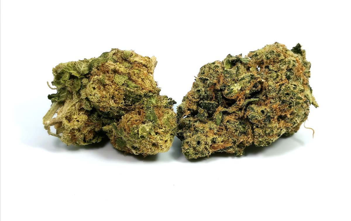 cannabis_sensei's tweet photo. #battleofthestrains White Widow (left) VS Diesel (right), both made by @spinachfarms. Diesel takes this by a LONG SHOT, wins in every aspect. https://t.co/ZgoEEQ5Rvf