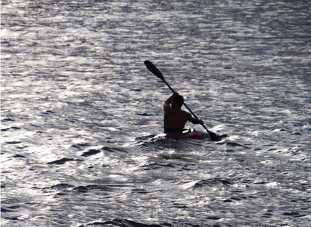 Destimed's tweet photo. #sport  sur ordonnance : le Comité Régional Olympique et Sportif Provence-Alpes-Côte d’Azur muscle son jeu ↘️ https://t.co/4HQNW75Up3 
#Santé @FranceOlympique #CrosPaca #ORSPaca 
📸@hagaysobol https://t.co/AROOGA6xTP