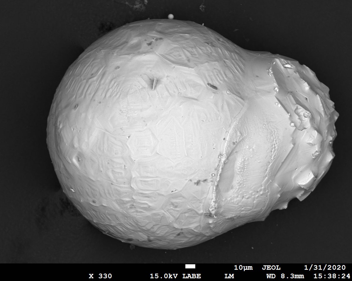 JesseKirschNews's tweet photo. HISTORIC IMAGE? @AdlerPlanet teens may have found a #meteorite fragment at bottom of #LakeMichigan! @NASA image (courtesy of Dr. Marc Fries), shared exclusively with @abc7chicago, shows promising specimen from #AquariusProject. #ScanningElectronMicroscope
#NASA
#Meteor https://t.co/XoXIP7i3r8