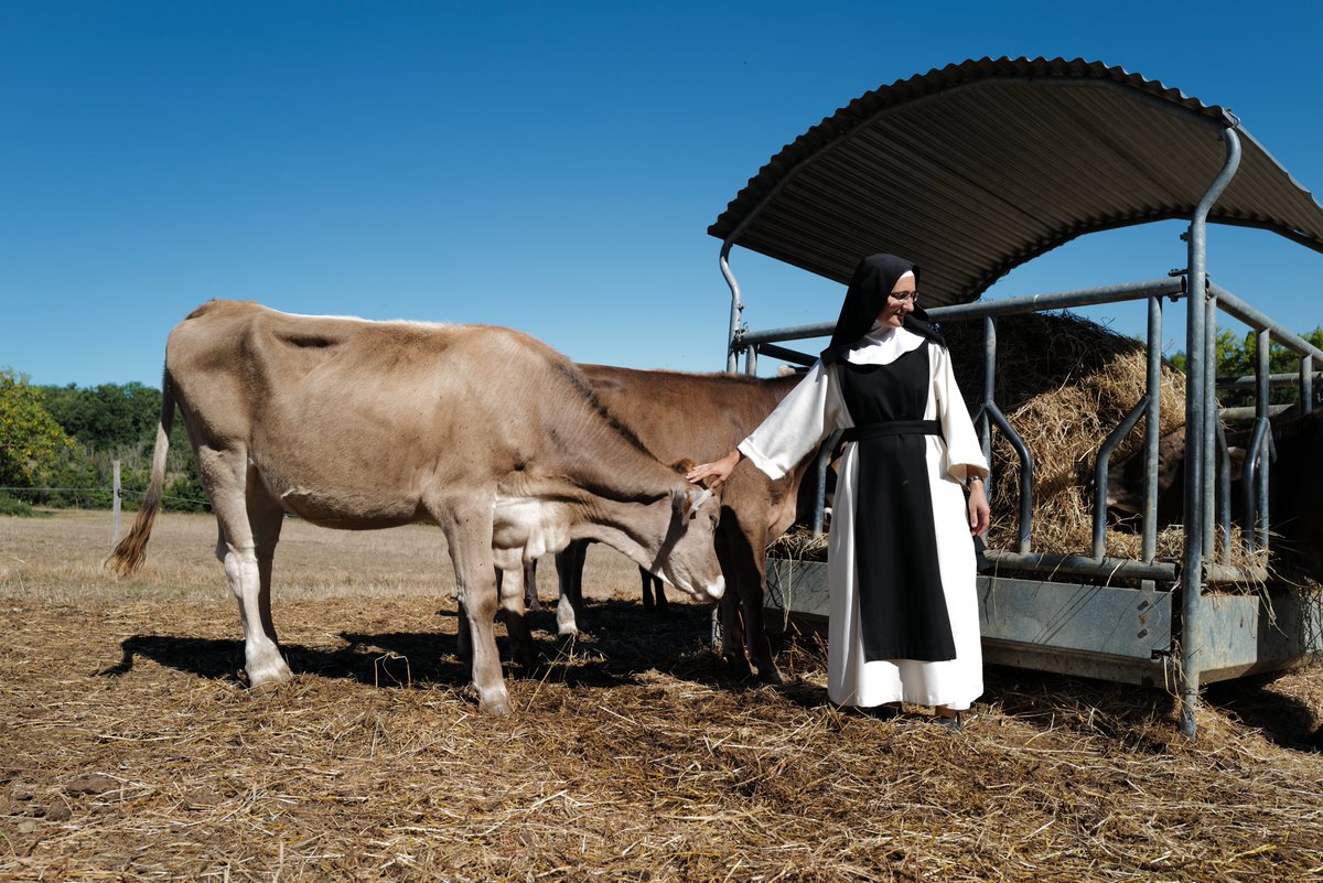En images : l'ambitieux projet de micro-ferme bio et autonome des soeurs de l'abbaye de Boulaur #permaculture #bio #Gers #occitanie toulouse.latribune.fr/innovation/fin… via <a href="/LaTribuneTlse/">La Tribune Toulouse</a>