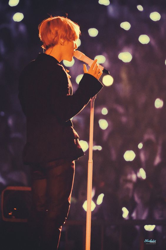 Washington DC ~ The USA