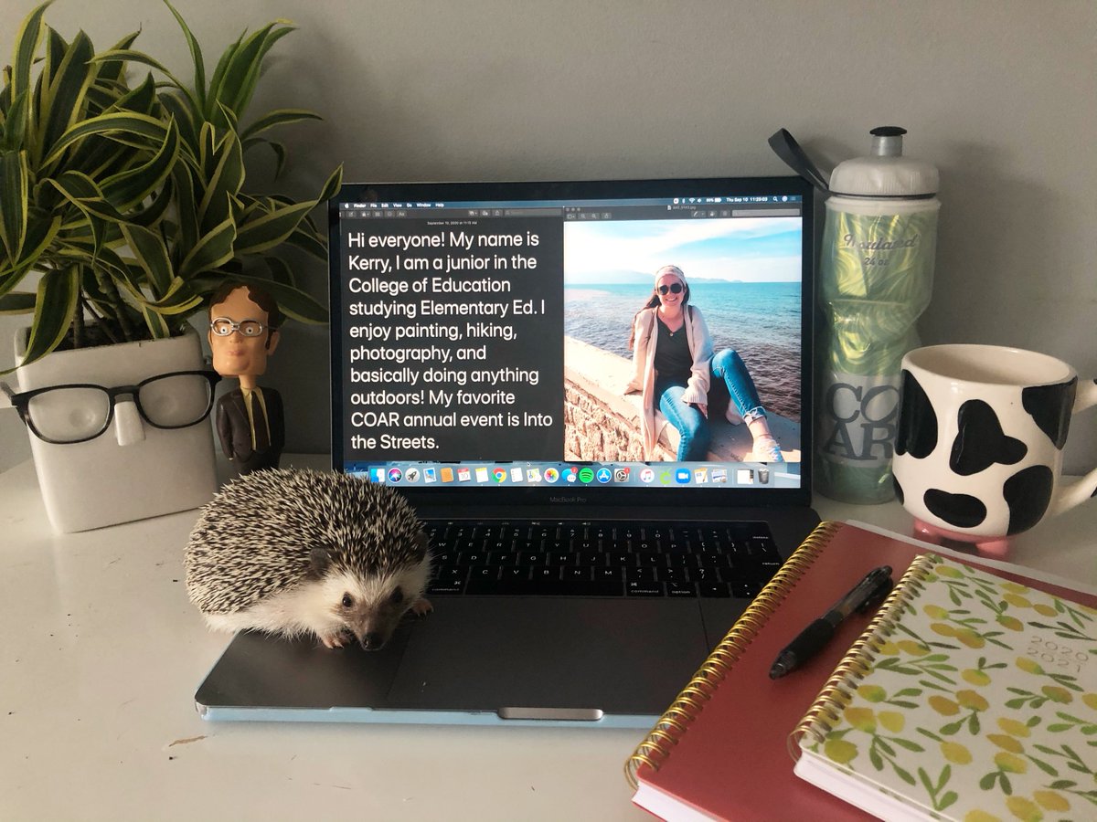 coarumw's tweet photo. Our final staff shoutout goes to Kerry! Look around her home office to get to know Kerry and her interests https://t.co/blAA11NfyL